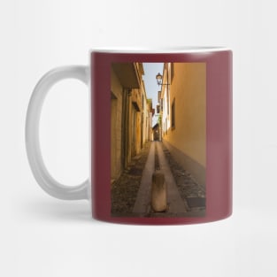 Street in Cividale del Friuli, Italy Mug